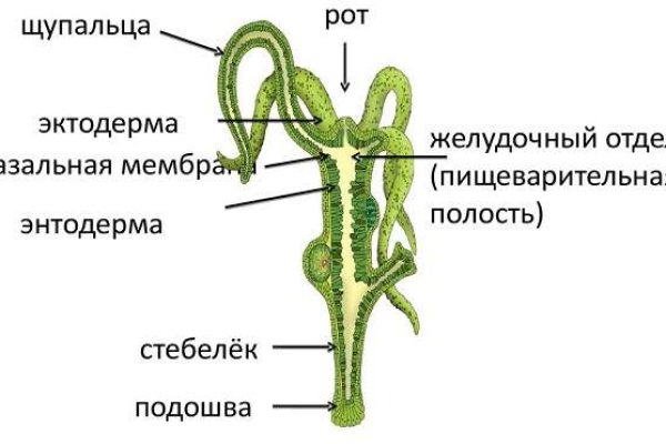 Кракен маркетплейс ссылка на сайт