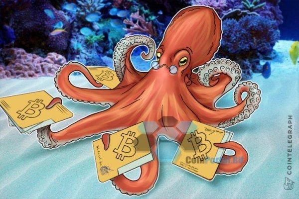 Kraken network