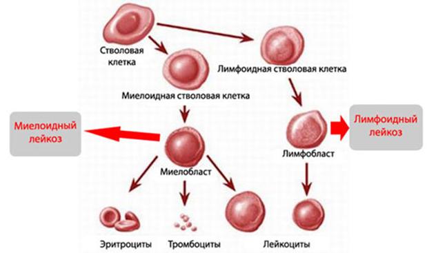 Актуальный сайт кракена